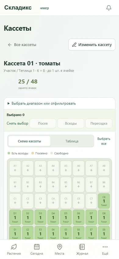 Сетка кассеты с адресами ячеек